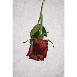 ARTIDEE | CREARTEC Immersion Rust - Set -Pebeo Sales ARTIDEE7CCREARTECImmersionRust set 3