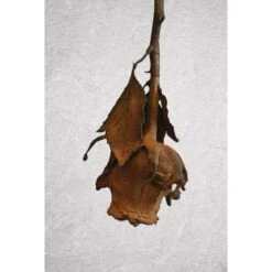 ARTIDEE | CREARTEC Immersion Rust - Set -Pebeo Sales ARTIDEE7CCREARTECImmersionRust set 5