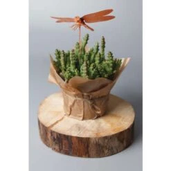 Creartec Dipping Metal -Pebeo Sales CreartecDippingMetal 2