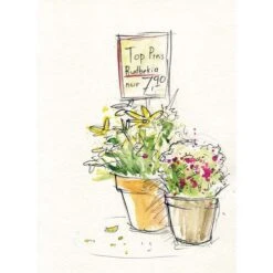 Faber Castell Watercolour Sets -Pebeo Sales FaberCastellWatercolourSets 3