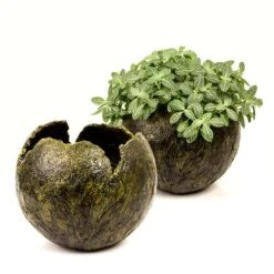 GERSTAECKER | Modelling Paste — Coarse -Pebeo Sales GERSTAECKER7CModellingPasteE28094coarse 2