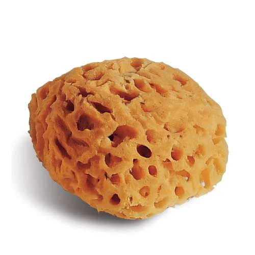 Natural Sponge — 14 Cm 3 Natural Sponge — 14 Cm